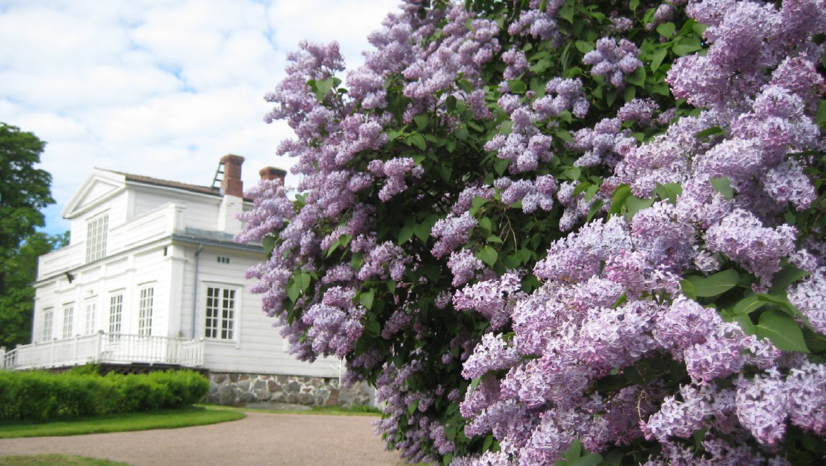 Tegel_Satu_Syreenit_Annalassa